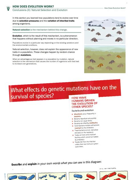 Criteria D Antibiotic Resistance Natural Selection Sd Pdf