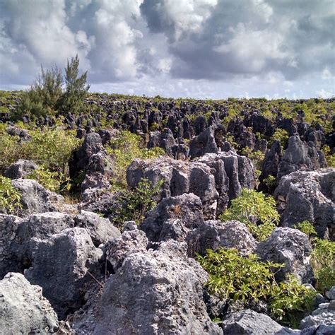 Naurus Phosphate Mines Alluring World