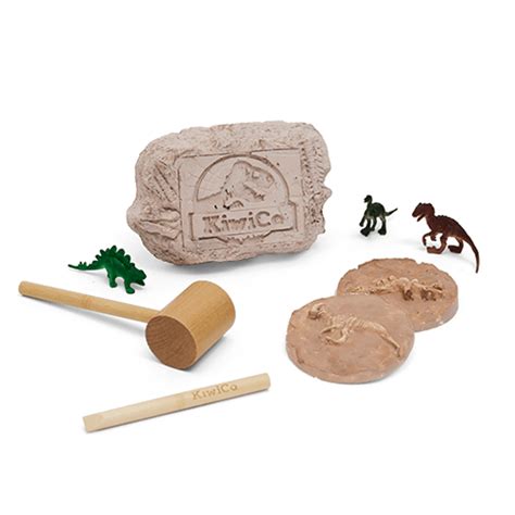 Paleontologist Starter Kit | KiwiCo