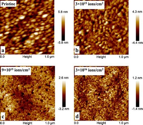 AFM surface micrograph of Ni Ti thin films over a scan area 1 1 μm