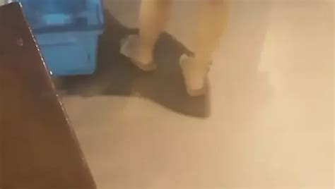 Free Sexy Calves Porn Videos XHamster