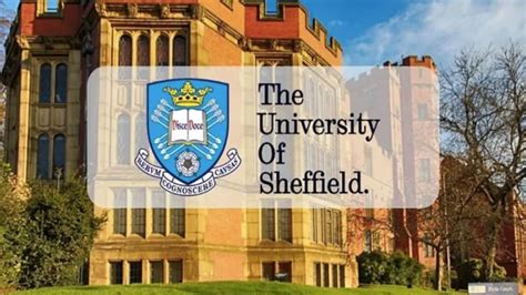 Exciting Opportunities Await University Of Sheffield Offers