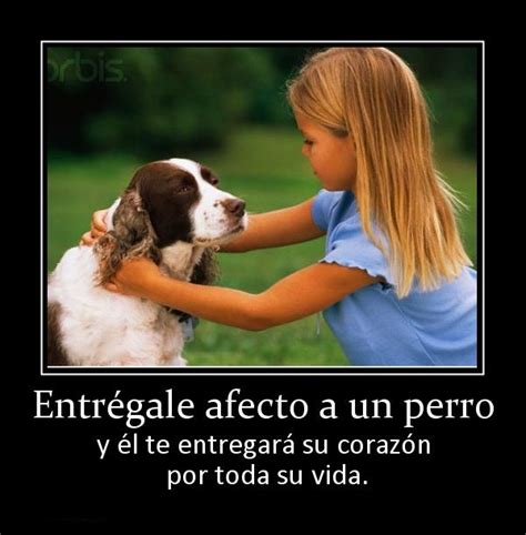 Hacer El Amor Con Perro