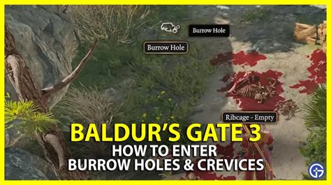 How To Enter Burrow Holes Crevices In Baldur S Gate Bg