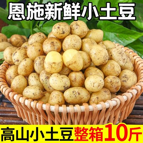 恩施小土豆现挖湖北新鲜黄心土豆10斤当季蔬菜土豆