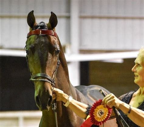 National And World Champions Ledyard Farms