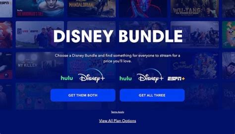 Top 10 Streaming Bundles In 2024 New Vision Theatres