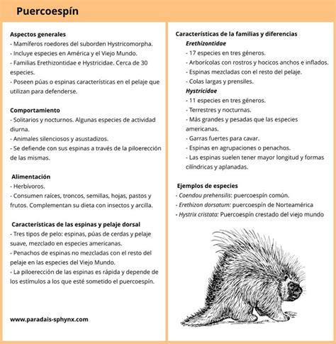 Ficha Informativa Del Puercoesp N