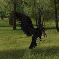 Craban Spy Lotro Wiki