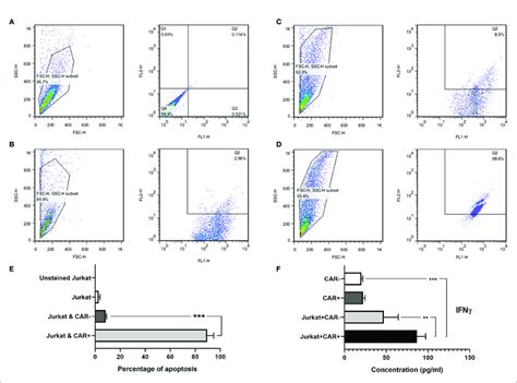 The Flow Cytometric Dot Plot Graphs Of In Vitro Cytotoxicity Assay