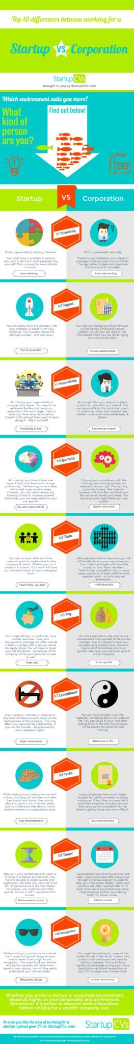 Startup vs. Corporation: Key Differences Explained