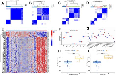 RNA Sequencing Based Approaches To Identifying Disulfidptosis Related