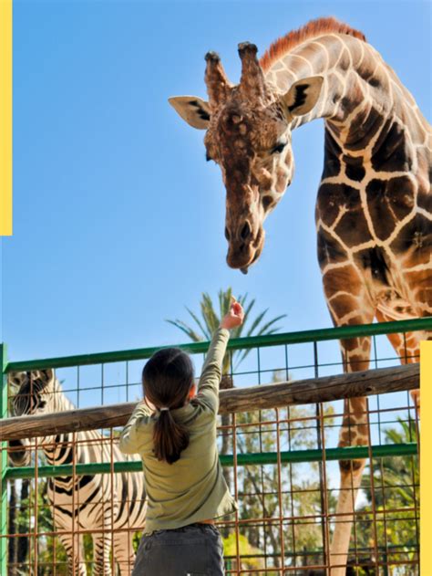 The 14 Best Zoos in the World in 2023 | Travellers Worldwide