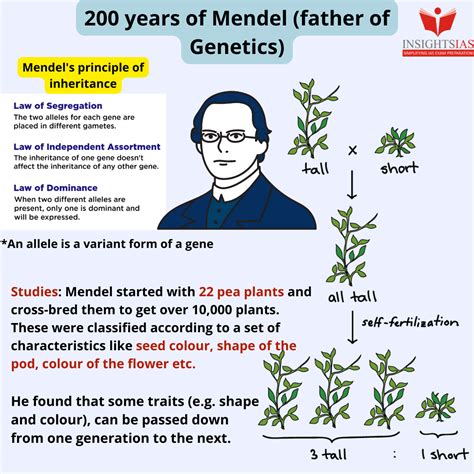 Mendel S Law Of Inheritance Clearance Discounts Gbu Presnenskij Ru