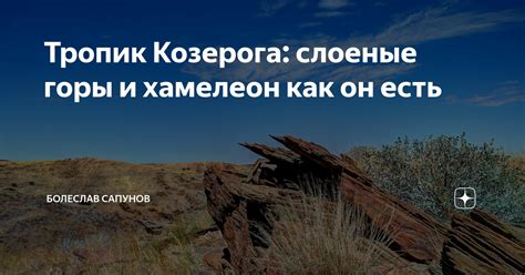 Тропик Козерога: слоеные горы и хамелеон как он есть | Болеслав Сапунов ...
