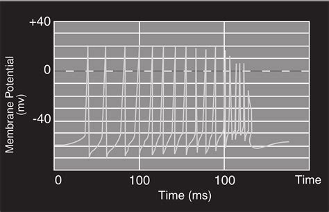 Measurement,electric potential,science,display,chart - free image from ...