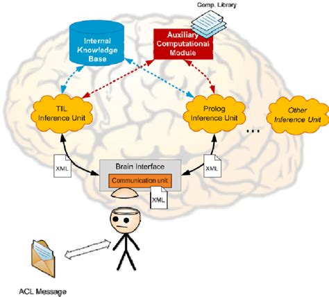 Schema Of Agent S Brain Download Scientific Diagram