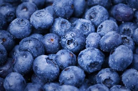 Việt Quất Tên Tiếng Anh Là Blueberry Là Một Loại Quả Thuộc Giống Họ