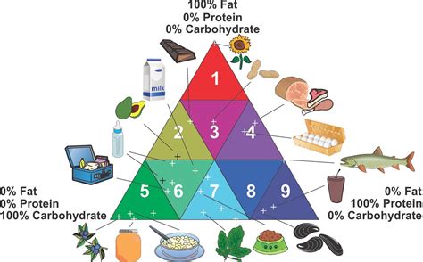 How Do You Know Your Foods Nutrition Facts Label Is Accurate Nist