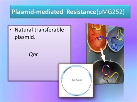 Plasmid mediated quinolone resistance