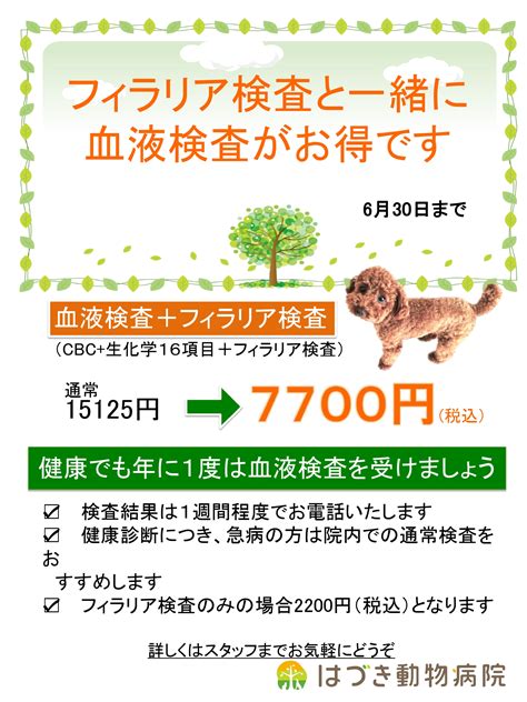 フィラリア検査と一緒の血液健康診断 はづき動物病院