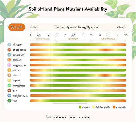 The Best Ph Meter For Soil