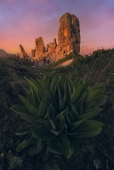 Untitled Photograph By David Martin Castan Fine Art America