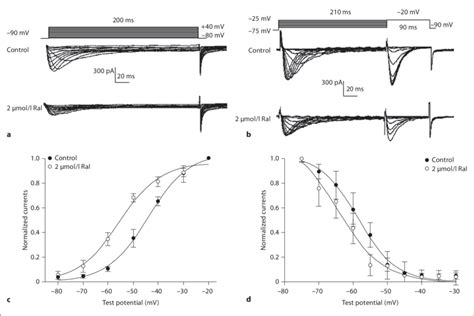 Effects Of Raloxifene On Activation And Steady State Inactivation Of I