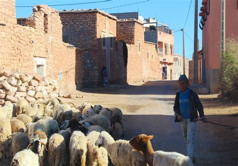 Voyage Au Maroc Conseils Itinéraires Bonnes Adresses