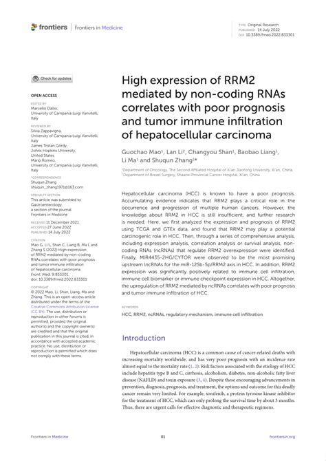 Pdf High Expression Of Rrm Mediated By Non Coding Rnas Correlates