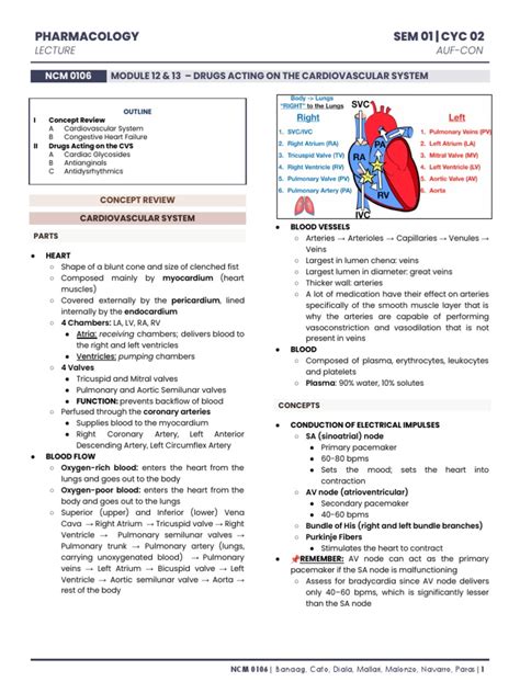 12 Drugs Acting On The Cardiovascular System Pdf Heart Heart Valve