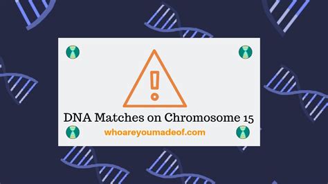 X DNA Matches on Gedmatch - Who are You Made Of?