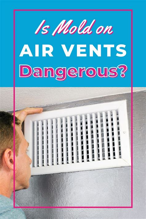 Is Mold On Air Vents Dangerous Air Vent Vented Cleaning Mold