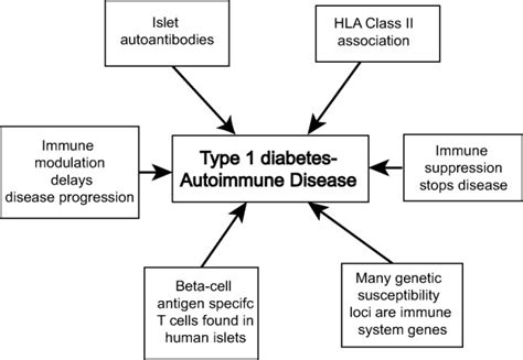 The Case For An Autoimmune Aetiology Of Type 1 Diabetes Mannering 2016 Clinical