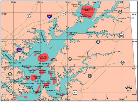 Chesapeake Bay Fishing Map | Living Room Design 2020