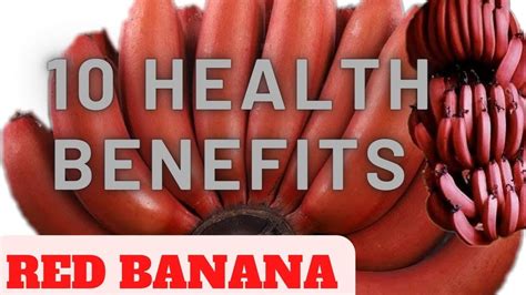 10 Red Banana Health Benefits You Need To Know Everything You Want To