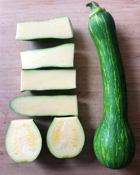 Centercut Tromboncino Italian Zucchini Zuchetta Squash Premium Etsy