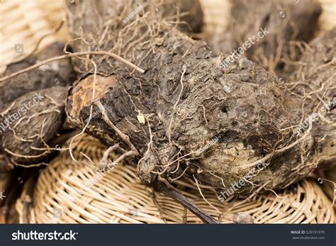 Dioscorea Alata Root Foto De Stock 529191970 Shutterstock