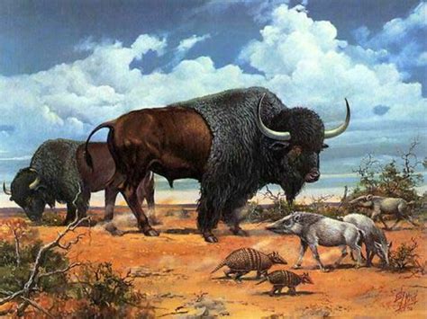 Bison Priscus Prehistoric Animals Ancient Animals Extinct Animals