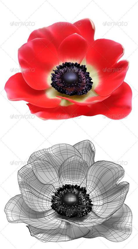 Anemone tattoo. | Flower tattoos, Flower art drawing, Poppies tattoo