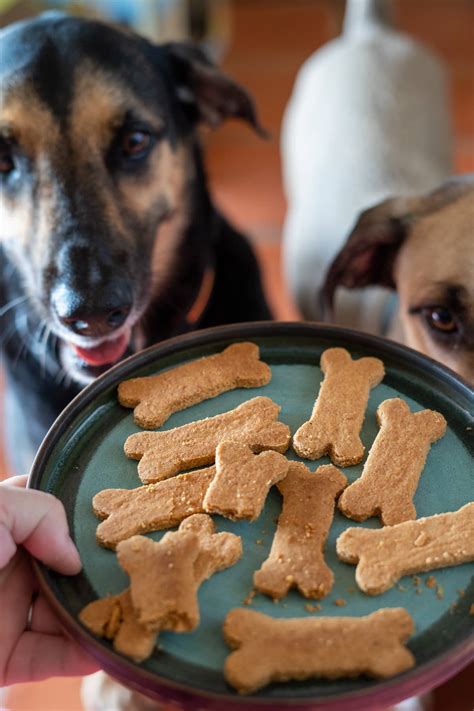 Is Almond Flour Good For Dogs