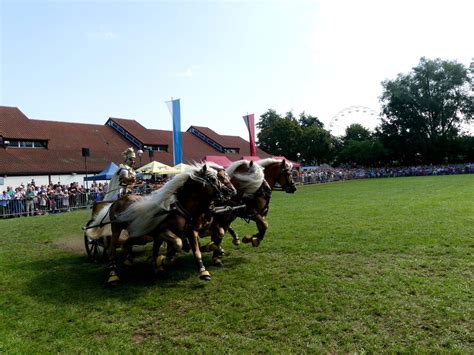 Pferde Und Fohlenschau Beim JURA Volksfest Begeisterte Wochenblatt