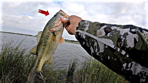 This Pond Is Loaded With Bass Bank Fishing Youtube