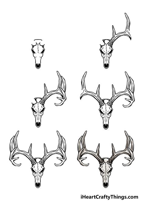 Deer Skull Drawing How To Draw A Deer Skull Step By Step