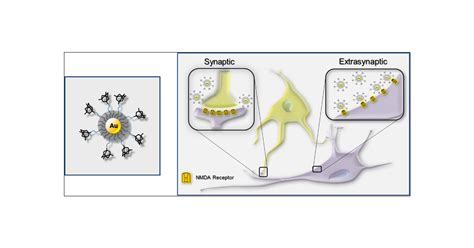 Nanostructured Antagonist Of Extrasynaptic Nmda Receptors Nano Letters