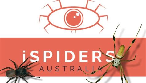 Australian spider identification app.