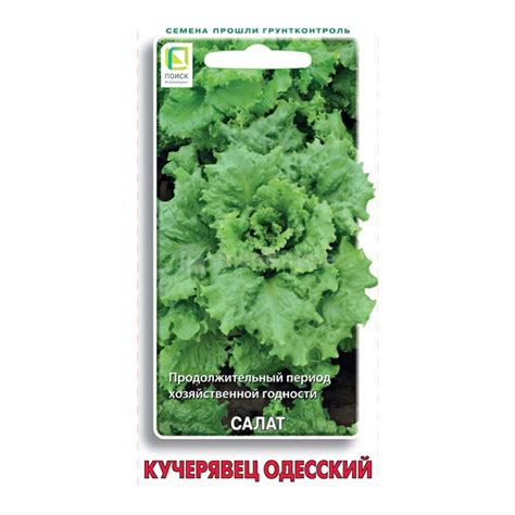 Салат Кучерявец Одесский Поиск 1 г — купить в Санкт-Петербурге: цены ...