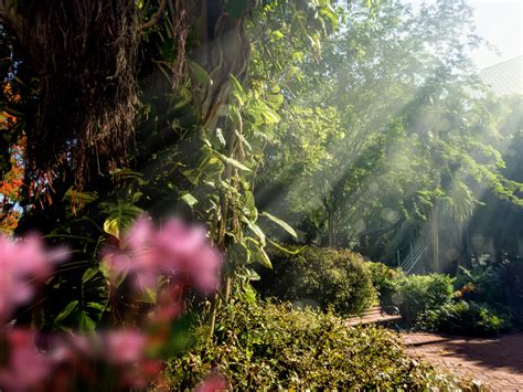 Seasonal Home Maintenance Tips for Florida's Unique Climate