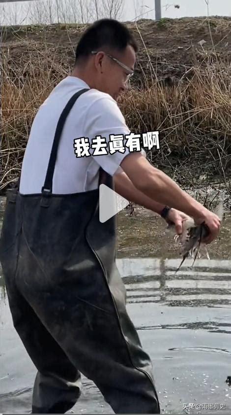 網紅小哥盤坑視頻大揭秘，水坑裡的魚都從哪來 每日頭條