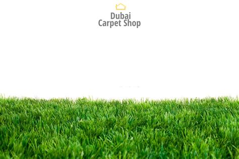 No 1 Artificial Grass Abu Dhabi Best Carpet Grass Shop UAE